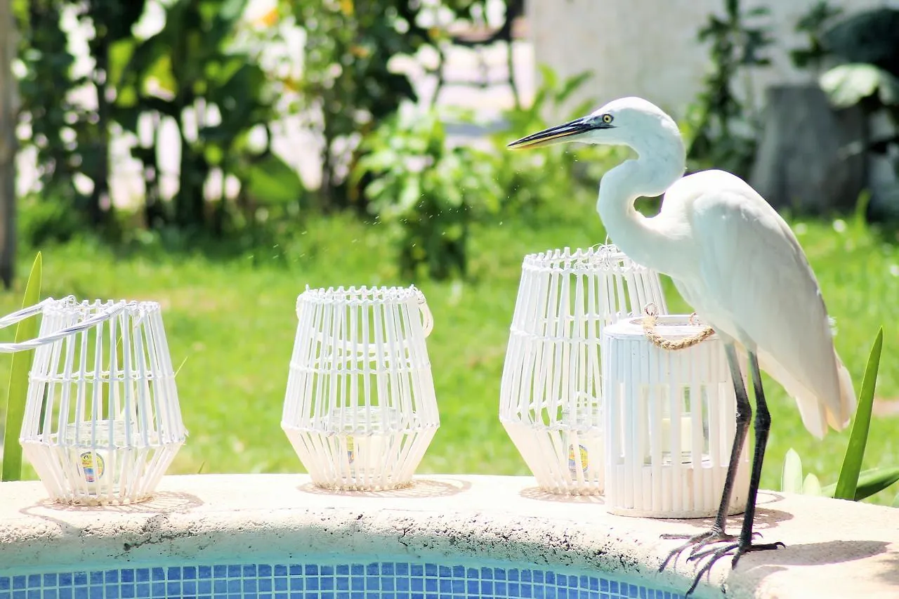 Maya Hotel Residence Isla Holbox