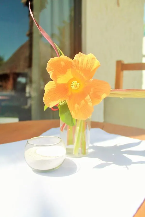 Maya Hotel Residence Isla Holbox