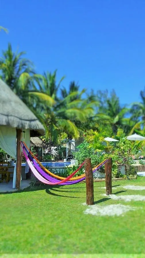 Maya Hotel Residence Isla Holbox 3*,